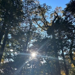 陣馬山～城山～高尾山˚·༊