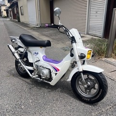 シャリー　カスタム　50cc 滋賀県の画像