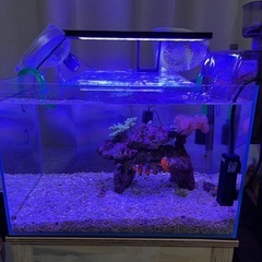 新古！！450水槽セット