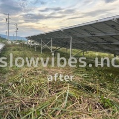 【🔺急募🔺和歌山での草刈りアルバイト募集！特別報酬あり！】の画像