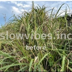 【🔺急募🔺和歌山での草刈りアルバイト募集！特別報酬あり！】
