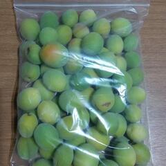無選別の青梅の実を1kg