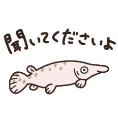 アロワナ，ガー，熱帯魚
