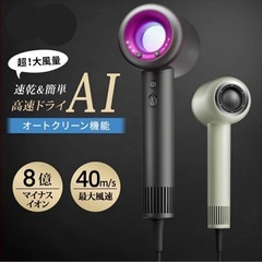 ドライヤー 速乾 大風量 マイナスイオン 高浸透ケア オートクリ...