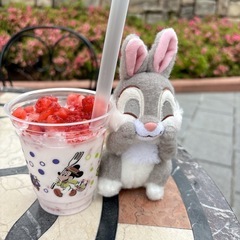ディズニー好きな方🏰🌋
