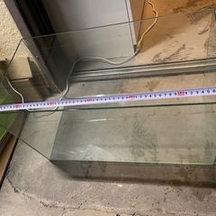 600オールガラス水槽