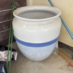 メダカ鉢