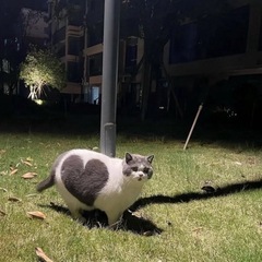 お助けします！