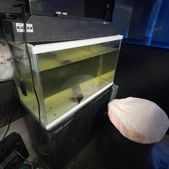 600水槽セット