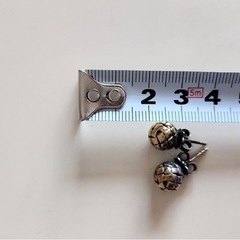 ボッテガヴェネタのピアスの画像