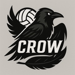 Crow男女混合バレーボール6人制
