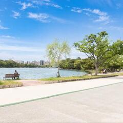 🌿福岡の街を楽しくお散歩♪地元ガイドとカフェ＆癒しツアー☕…