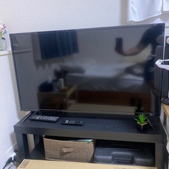 テレビ