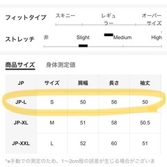 グレー ポロ襟 ニットセーター 長袖 フリーサイズの画像