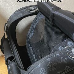 ※決定【日時限定/値下げ相談◎】ペットパラダイス 王冠柄 キャリーケース 猫 犬 用 ペットキャリーの画像
