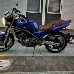 バリオス250
