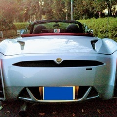VM180 ZAGATO ザガート 【レア車】の画像
