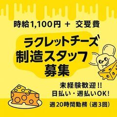 ラクレットチーズ製造作業