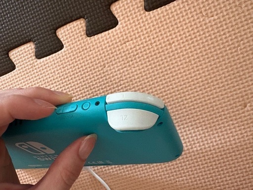 ニンテンドースイッチライト