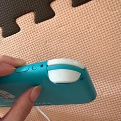 ニンテンドースイッチライトの画像