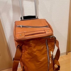 ボストンバッグ　キャリーバッグ　イノベーターの画像