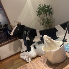 カフェ、ご飯、朝活☀️