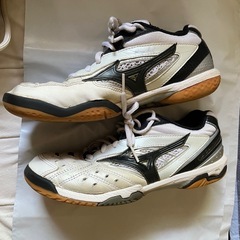 Mizuno バドミントンシューズ ホワイト/ブラック　白黒　25.5の画像
