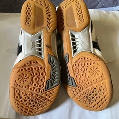 Mizuno バドミントンシューズ ホワイト/ブラック　白黒　25.5の画像