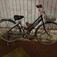 アルベルト ブリジストン ベルトタイプ