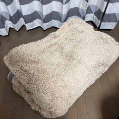 リンサークリーナー RNS-300 ＋ 200×300cmラグ マットの画像