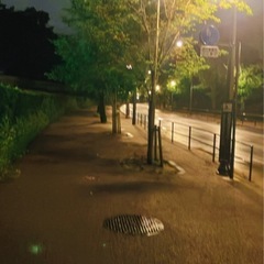 皇居ウォーキング🏃‍♀️🌸 - スポーツ