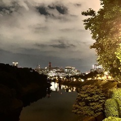 皇居ウォーキング🏃‍♀️🌸