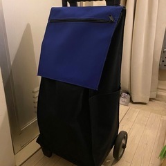 ショッピングカート　キャリー　大容量　Lサイズ