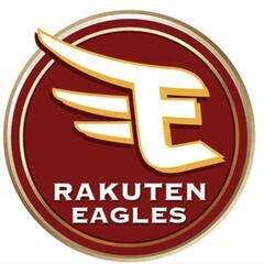 東北楽天イーグルス    vs中日　チケット１枚
