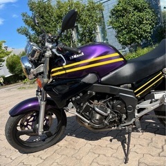 yamaha zeal250 (fzx250)