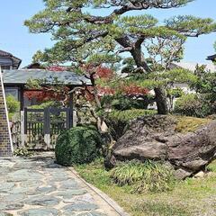 お庭の手入れでお困りの事はありませんか？そんな時は是非わが社を頼...