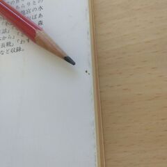 『そこなし森の話』佐藤さとる　講談社文庫の画像