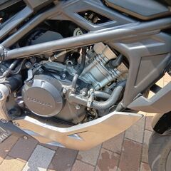 CB125R実働車の画像
