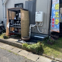 めだか無人販売　6月7、8日　（土）、（日）　