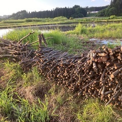 薪　木の画像