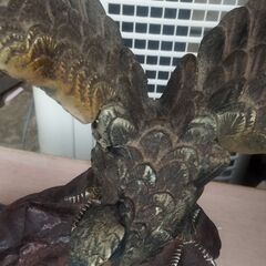 青銅でできたわしの飾り物の画像