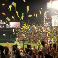 【野球観戦】福岡PayPayドーム❣️メンバー募集⚾️