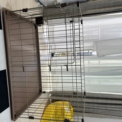 犬　ゲージ