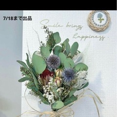 ユーカリポポラス　剪定枝　の画像
