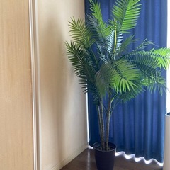 シダ系　フェイク観葉植物