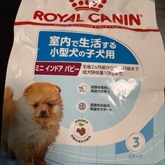 ロイヤルカナンミニインドアパピー800g