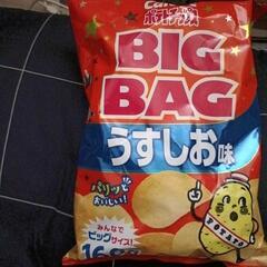 ポテトチップスうすしお味BIG160g