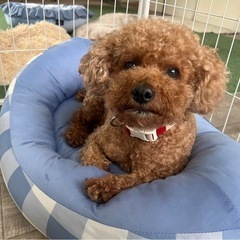 マイペースでたいへん人懐こい子です