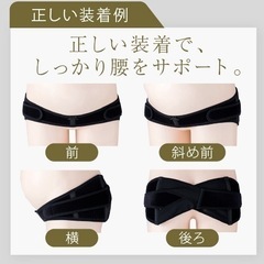 【美品】犬印本舗の骨盤ベルトLサイズの画像