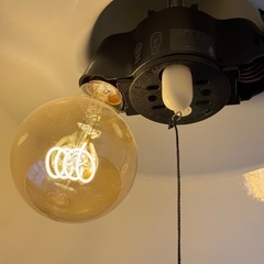 スナフキン ペンダントライト ホーローランプ　電球おまけの画像